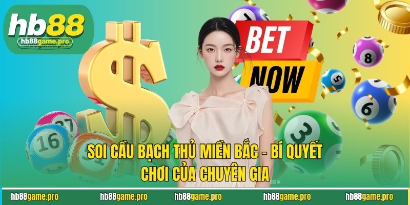 Soi Cầu Bạch Thủ Miền Bắc - Bí Quyết Chơi Của Chuyên Gia